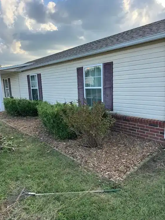 Yard after brush removal and clearing in Fayetteville AR