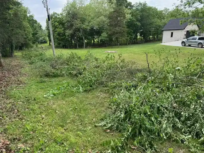 Overgrowth Removal