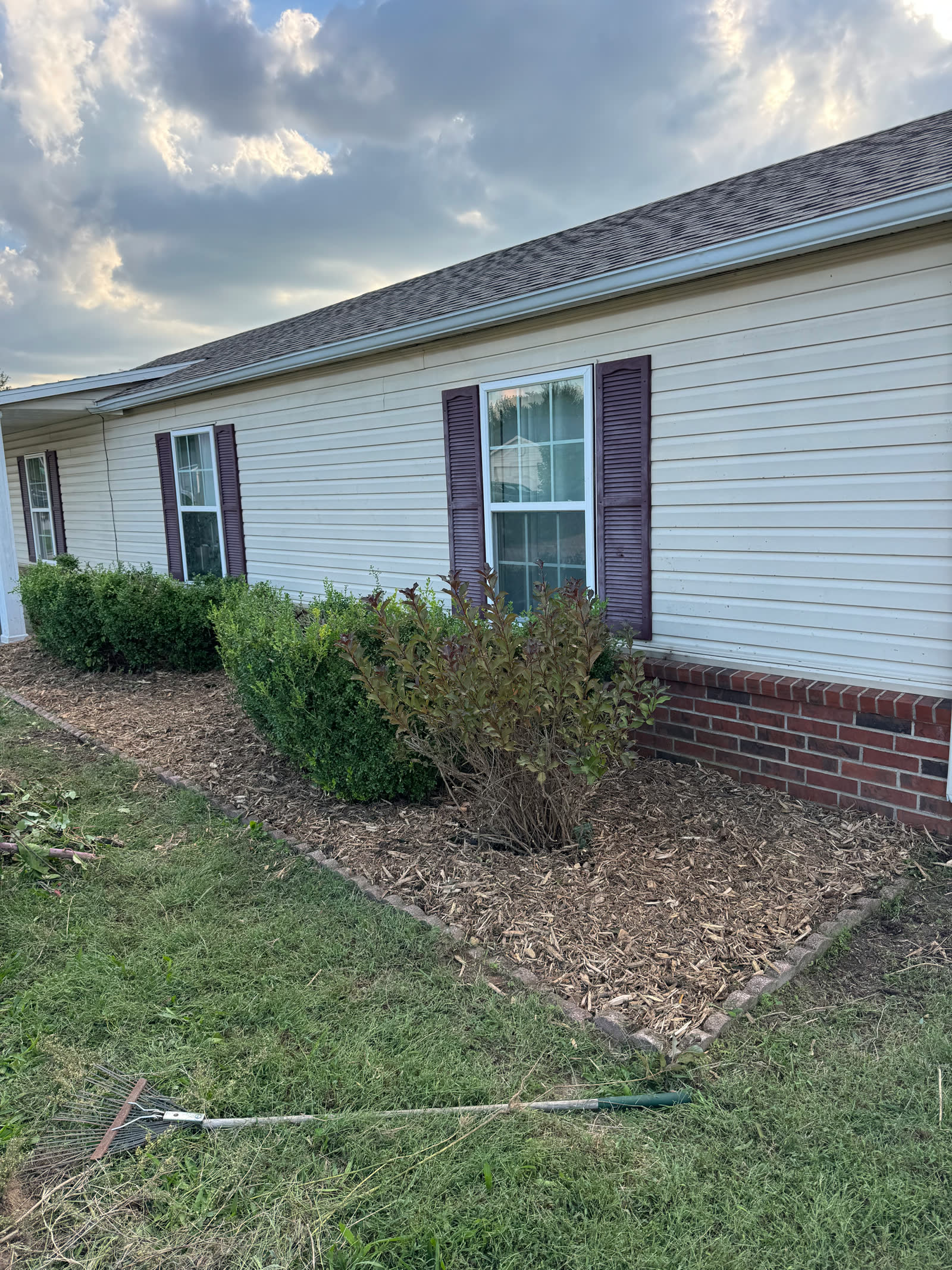 Yard after brush removal and cleanup